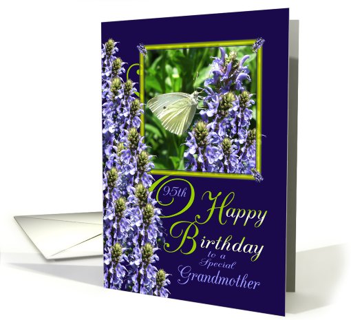 Grandmother 95th Birthday - White Butterfly Garden card (785574)