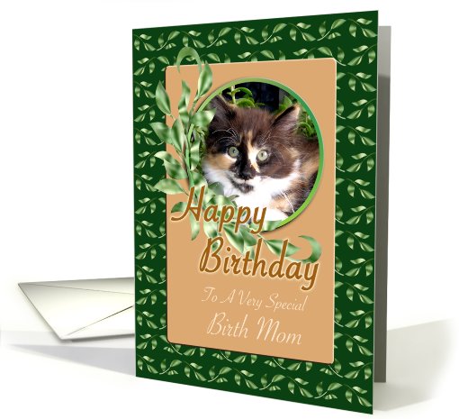 Birth Mom Birthday - Cute Green Eyed Kitten card (792218)