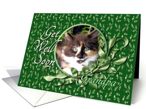 Grandpa Get Well - Green Eyed Calico Kitten card (793979)