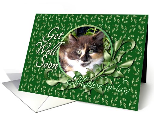 Mother-in-law Get Well - Green Eyed Calico Kitten card (794162)