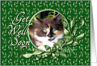 Sister Get Well - Green Eyed Calico Kitten card