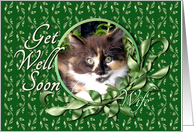 Wife Get Well - Green Eyed Calico Kitten card