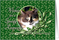 Recovery from Achilles Tendon Surgery - Calico Kitten card