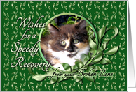 Recovery from Broken Bone - Calico Kitten card