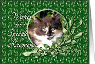 Recovery from Broken Nose - Calico Kitten card