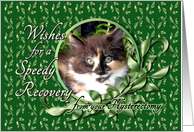 Recovery from Hysterectomy - Calico Kitten card