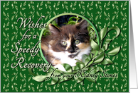 Recovery from Kidney Stones - Calico Kitten card