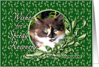 Recovery from Kidney Transplant - Calico Kitten card