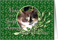 Recovery from Knee Surgery - Calico Kitten card