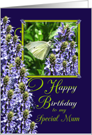 Mum Happy Birthday White Butterfly Garden card