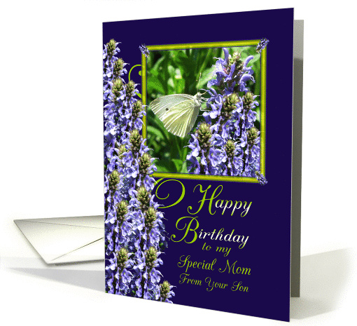 Mom from Son Happy Birthday White Butterfly Garden card (801146)