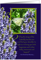 Irish Butterfly Blessing card