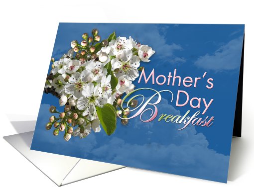 Mother's Day Breakfast White Flower Blossoms card (807090)