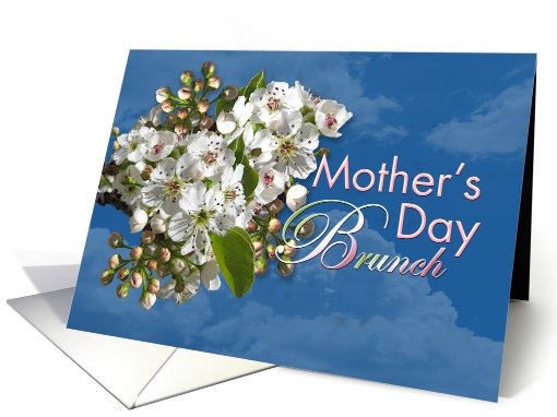 Mother's Day Brunch White Flower Blossoms card (807091)