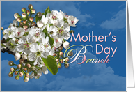 Mother’s Day Brunch White Flower Blossoms card