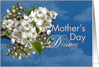 Mother’s Day Dinner White Flower Blossoms card