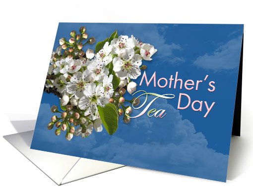 Mother's Day Tea White Flower Blossoms card (807093)