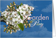 Garden Party White Flower Blossoms card