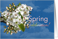 Spring Celebration Party White Flower Blossoms card