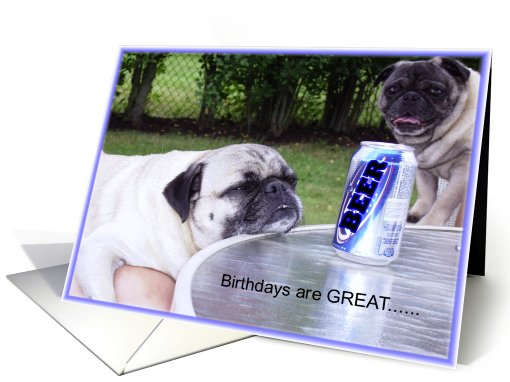 Pugs birthday card (430561)