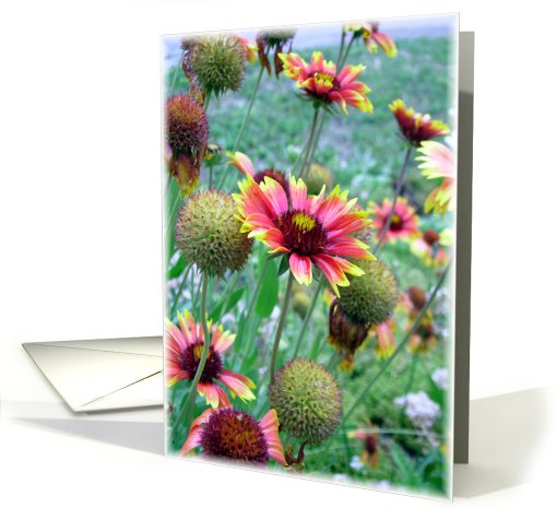 Happy Birthday Sunflower card (475406)