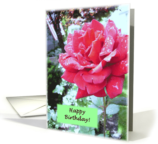 Happy Birthday Red Rose card (479215)