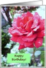 Happy Birthday Red Rose card
