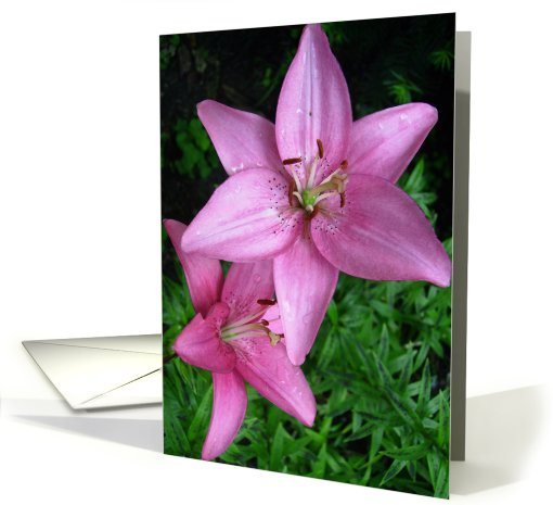 Thank you with lillies card (480500)