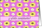 Spanish Birthday Daisies on Pink Orchid card