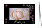 Miss you Mom, White Rose and Pink Blossoms card