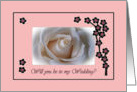 Wedding Invitation, White Rose and Blossoms card