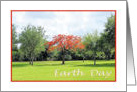 Earth Day, Flame Tree in the Park card