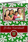 Spanish Feliz Navidad, Photo Card - Snow Crystals on Green card