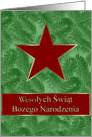 Polish Christmas, Red Star on Spruce Sprigs card