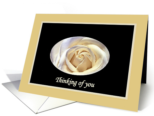 Thinking of you, White Rose card (1116774)