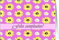 Spanish Birthday Daisies on Pink Orchid card