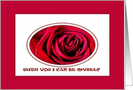 Love, Red Rose