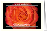 Spanish Birthday for Quinceanera, Blaze Orange Rose and White card