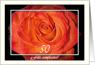 Spanish 50th Birthday, Blaze Orange Rose and White card