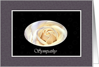 Sympathy Loss of Sister, Pearl White Rose card