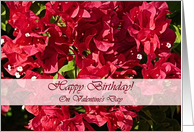 Birthday on Valentine’s Day, Red Passion Bougainvilleas card