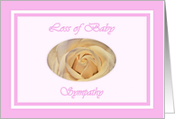 Sympathy Loss of Baby, Pink Pearl White Rose card