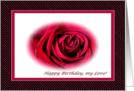 Birthday Valentine’s Day for Wife, Red Rose card