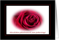 German Birthday on Valentine’s Day, Red Rose card