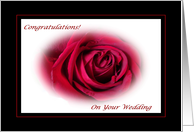 Congratulations on Your Wedding, Red Rose card