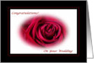 Congratulations on Your Wedding, Red Rose card