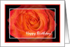 Happy Birthday Colleague, Blaze Rose card