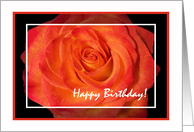 Happy Birthday Sister, Blaze Rose card