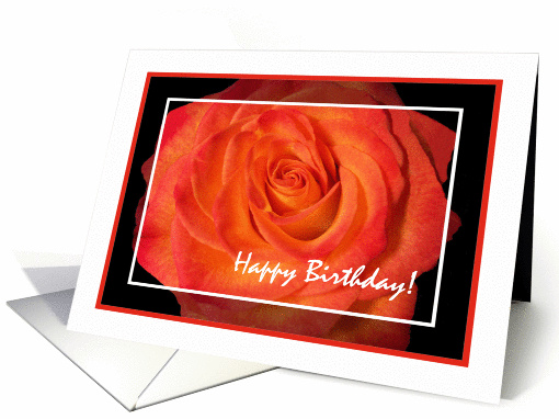 Happy Birthday Mother in law, Blaze Rose card (818980)