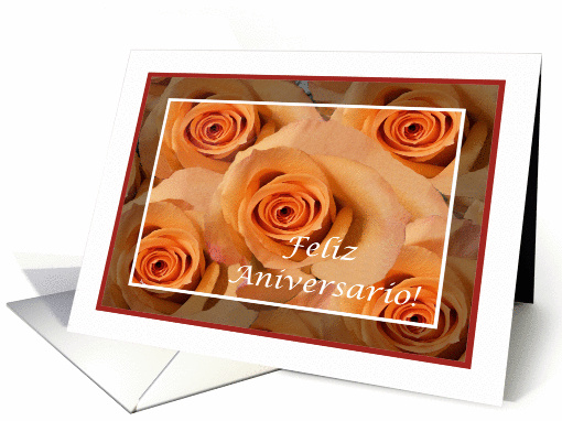 Portuguese Wedding Anniversary, Light Orange Roses card (820077)